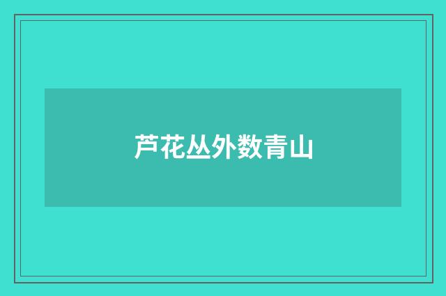 芦花丛外数青山