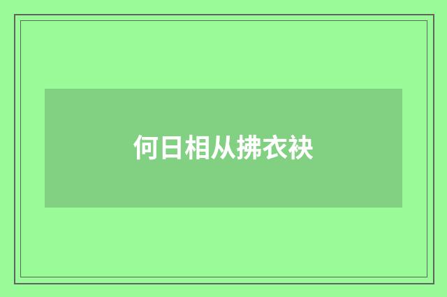 何日相从拂衣袂