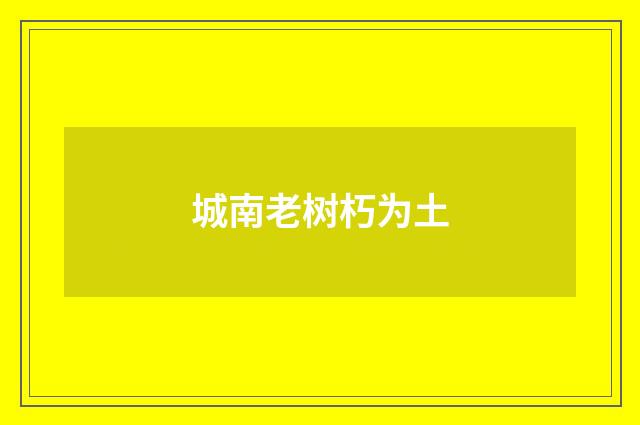 城南老树朽为土
