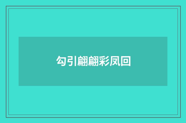 勾引翩翩彩凤回