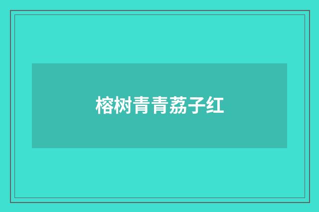 榕树青青荔子红