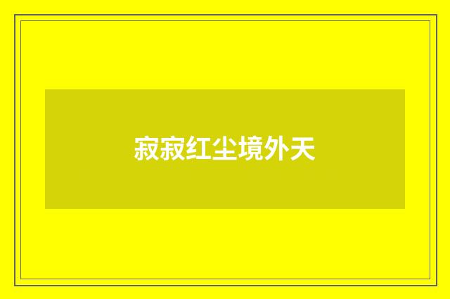 寂寂红尘境外天