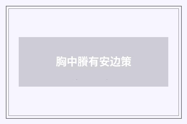 胸中賸有安边策