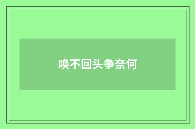 唤不回头争奈何