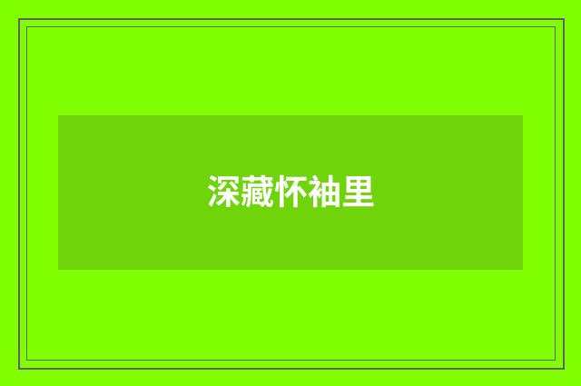 深藏怀袖里
