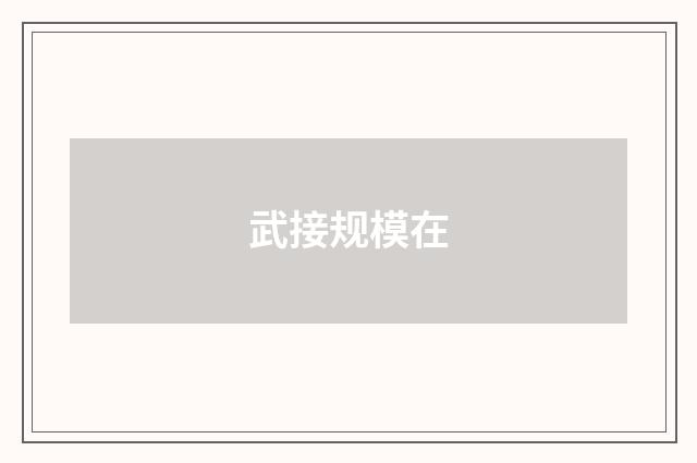 武接规模在
