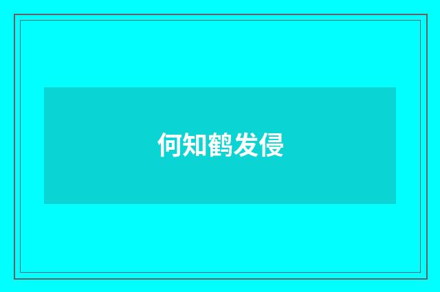 何知鹤发侵