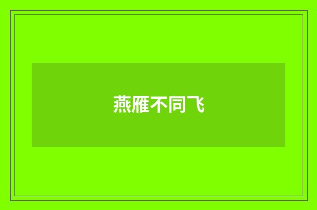 燕雁不同飞