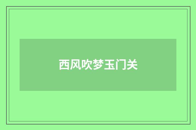 西风吹梦玉门关