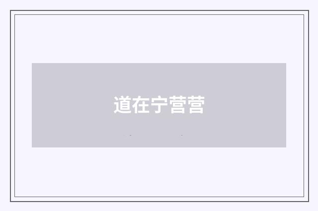 道在宁营营