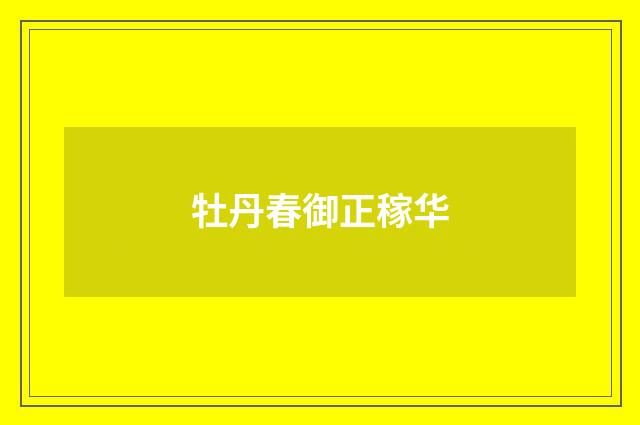 牡丹春御正稼华