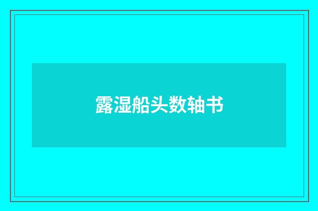 露湿船头数轴书
