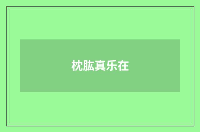 枕肱真乐在
