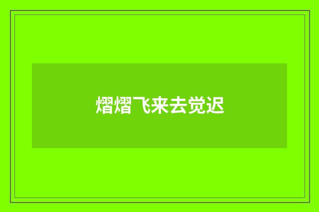 熠熠飞来去觉迟