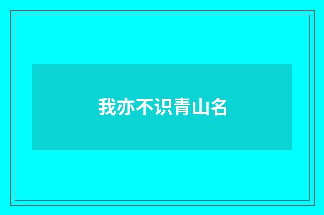我亦不识青山名