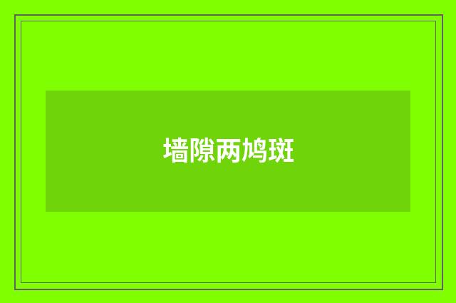 墙隙两鸠斑