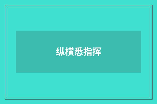 纵横悉指挥