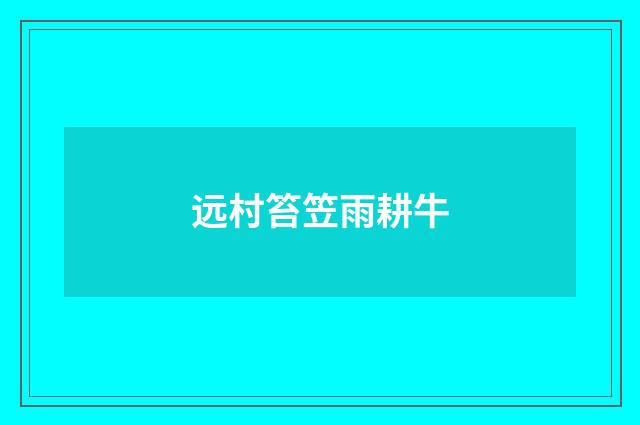 远村笞笠雨耕牛