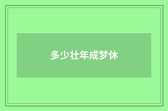 多少壮年成梦休