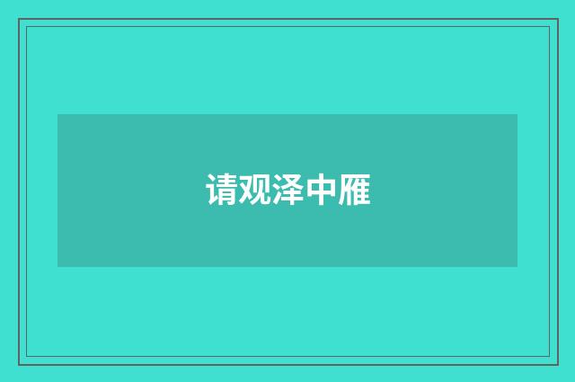 请观泽中雁