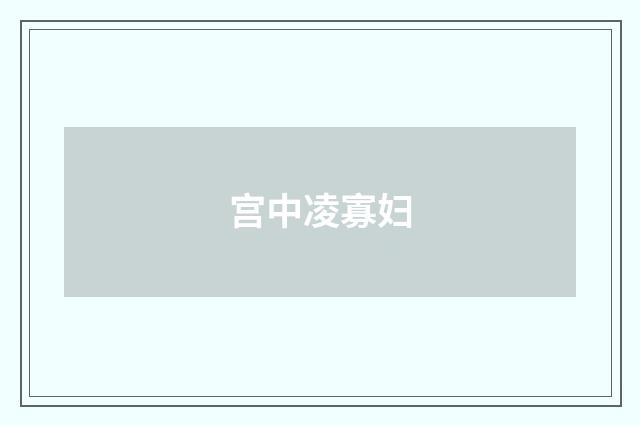 宫中凌寡妇