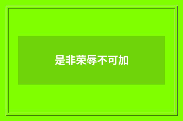 是非荣辱不可加