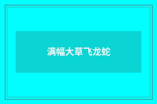 满幅大草飞龙蛇