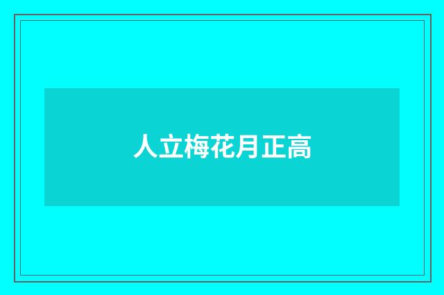 人立梅花月正高