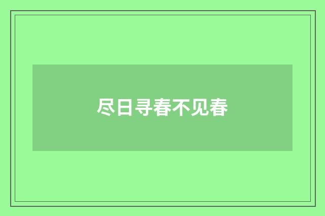 尽日寻春不见春