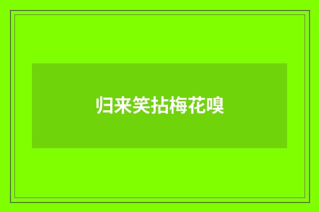 归来笑拈梅花嗅