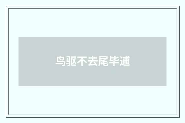鸟驱不去尾毕逋