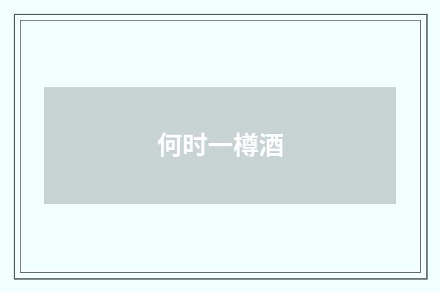 何时一樽酒