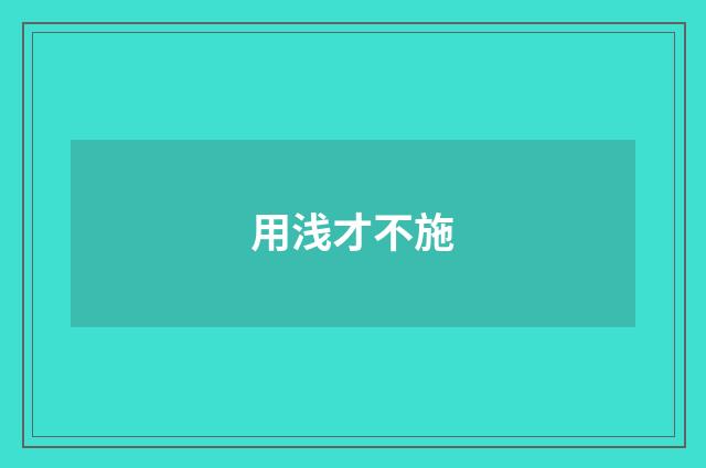 用浅才不施