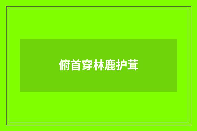 俯首穿林鹿护茸