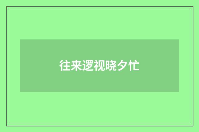 往来逻视晓夕忙