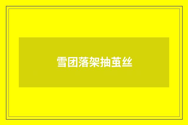 雪团落架抽茧丝
