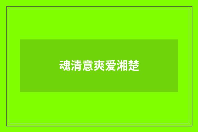魂清意爽爱湘楚