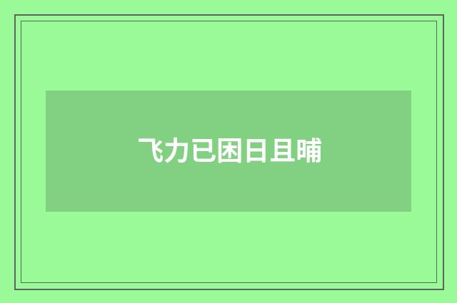 飞力已困日且晡