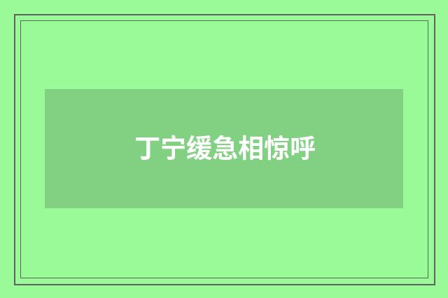 丁宁缓急相惊呼