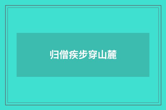 归僧疾步穿山麓