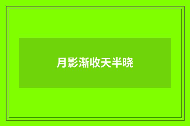 月影渐收天半晓