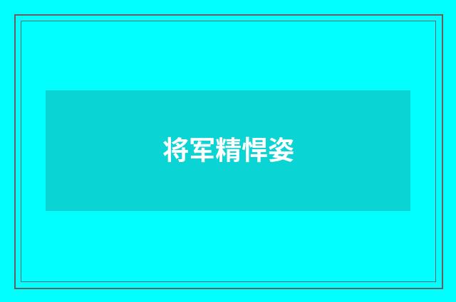 将军精悍姿