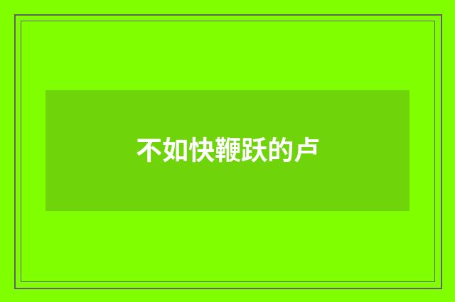 不如快鞭跃的卢