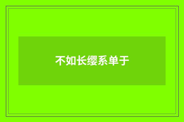 不如长缨系单于