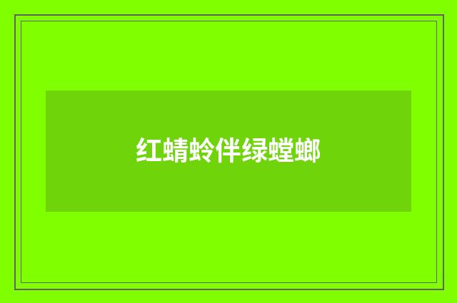 红蜻蛉伴绿螳螂