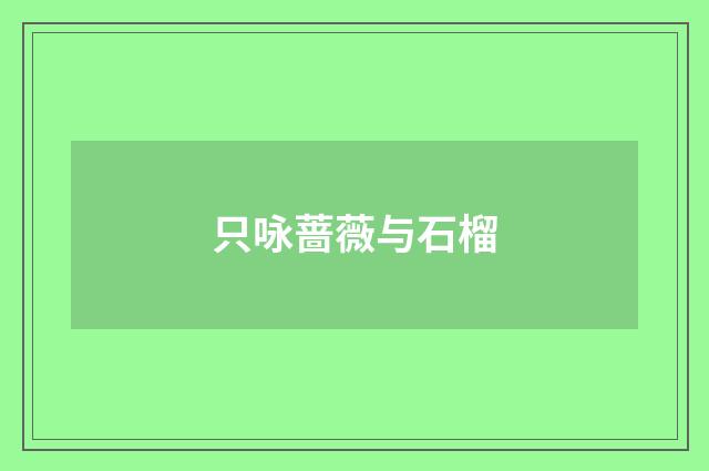 只咏蔷薇与石榴