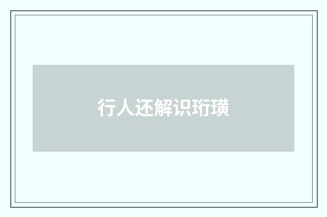 行人还解识珩璜