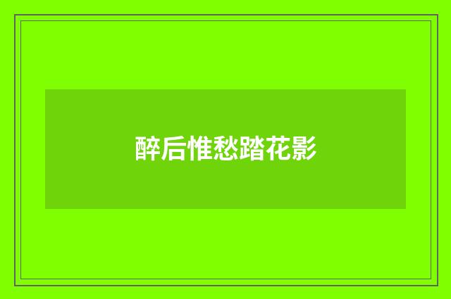 醉后惟愁踏花影