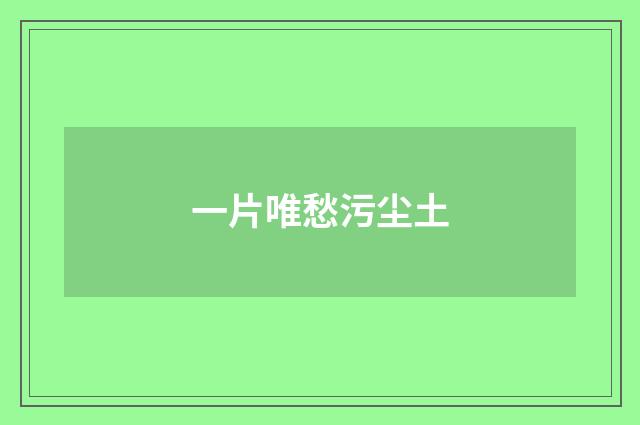 一片唯愁污尘土