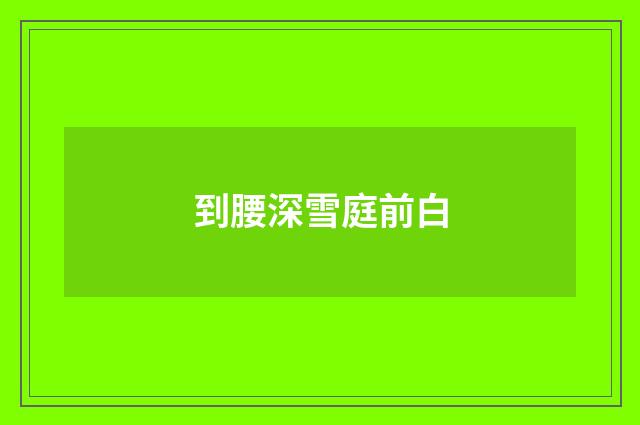 到腰深雪庭前白